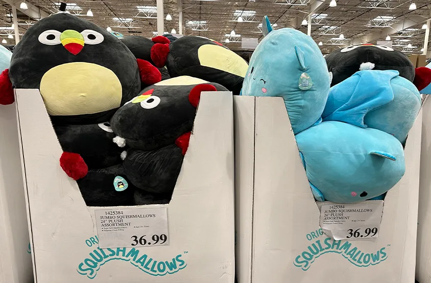 All You Need to Know About Walgreens Squishmallow Collection ...