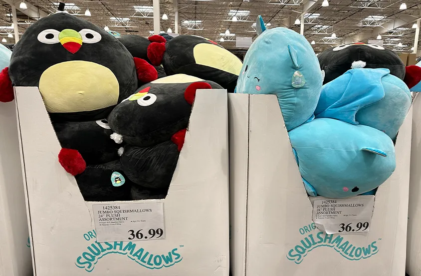 Walgreens Squishmallow